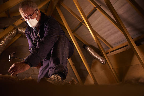 Best Types of Insulation in Bethel, WA